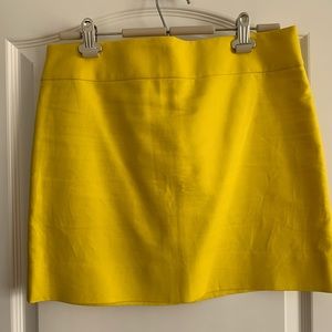 J Crew Skirt